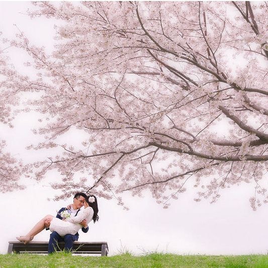 桜の下でキスする新郎新婦